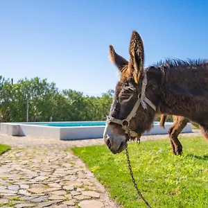  Bauernhof Burro Portugal